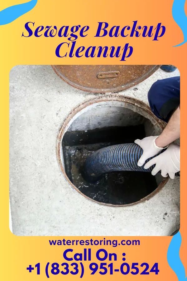 Sewage Backup Cleanup in Silerton, TN